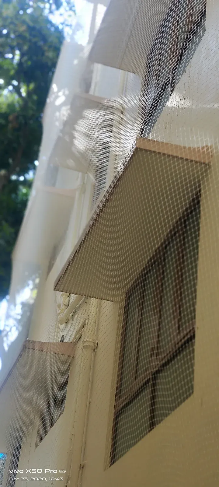 Bird Net for Windows installation by Perumal Safety Nets