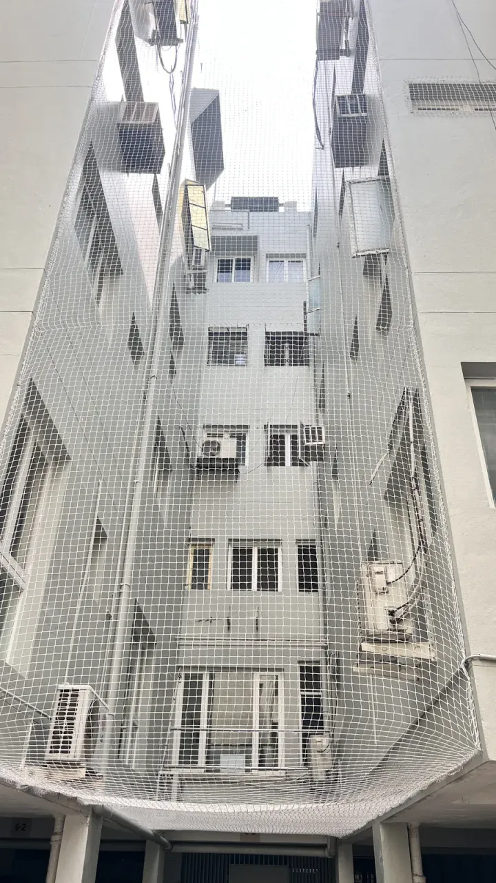 Bird Net for Buildings installation by Perumal Safety Nets