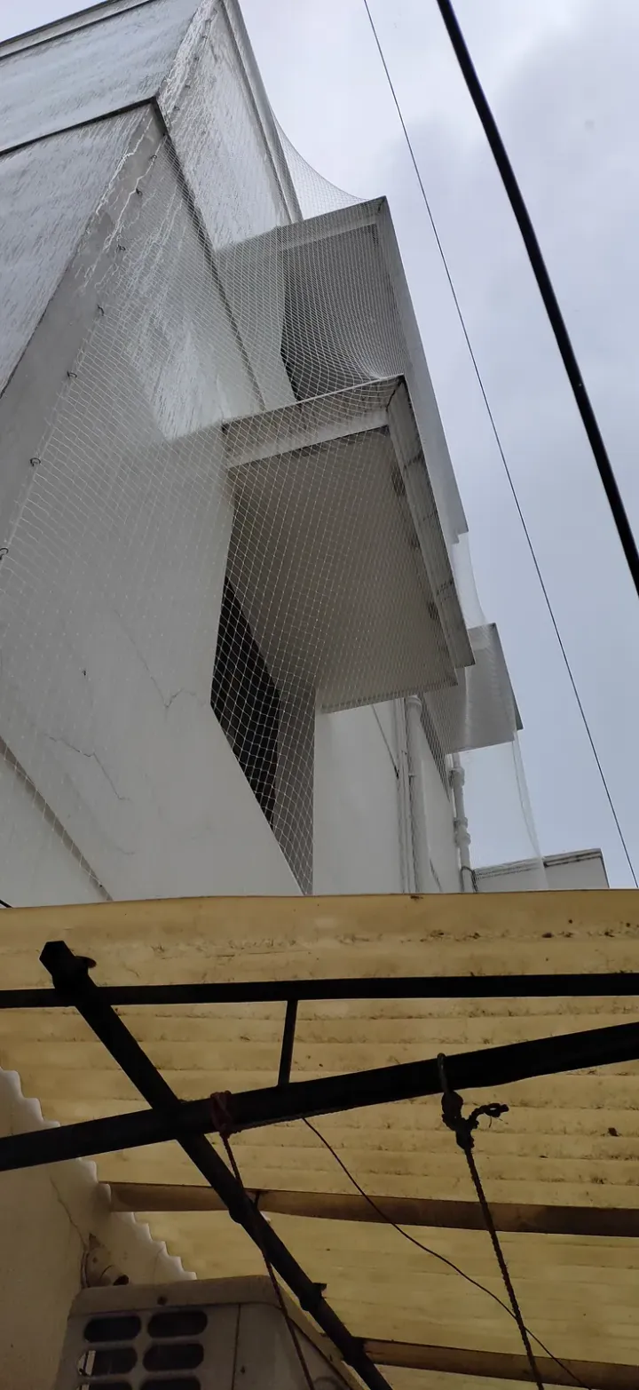 Bird Nets installation by Perumal Safety Nets