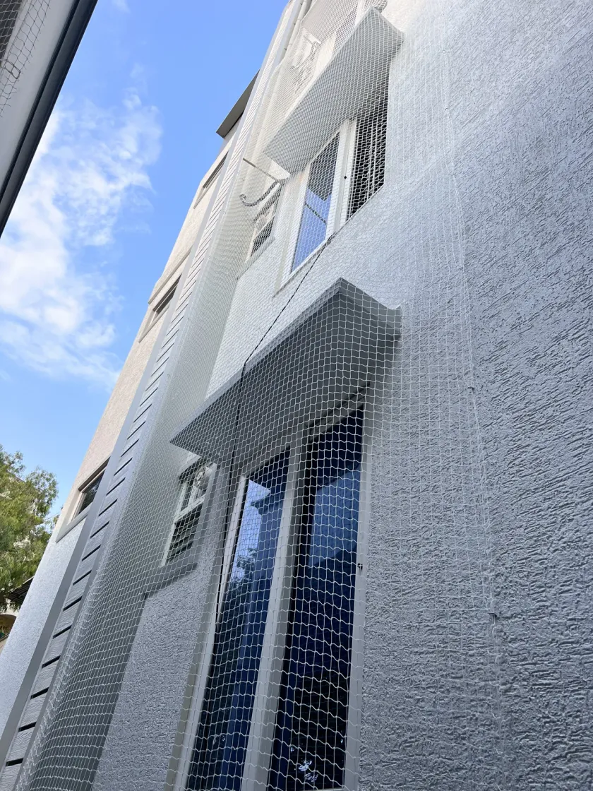 Bird Net for Windows installation by Perumal Safety Nets