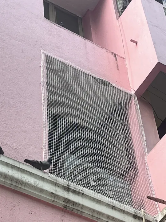 Bird Net for Windows by Perumal Safety Nets