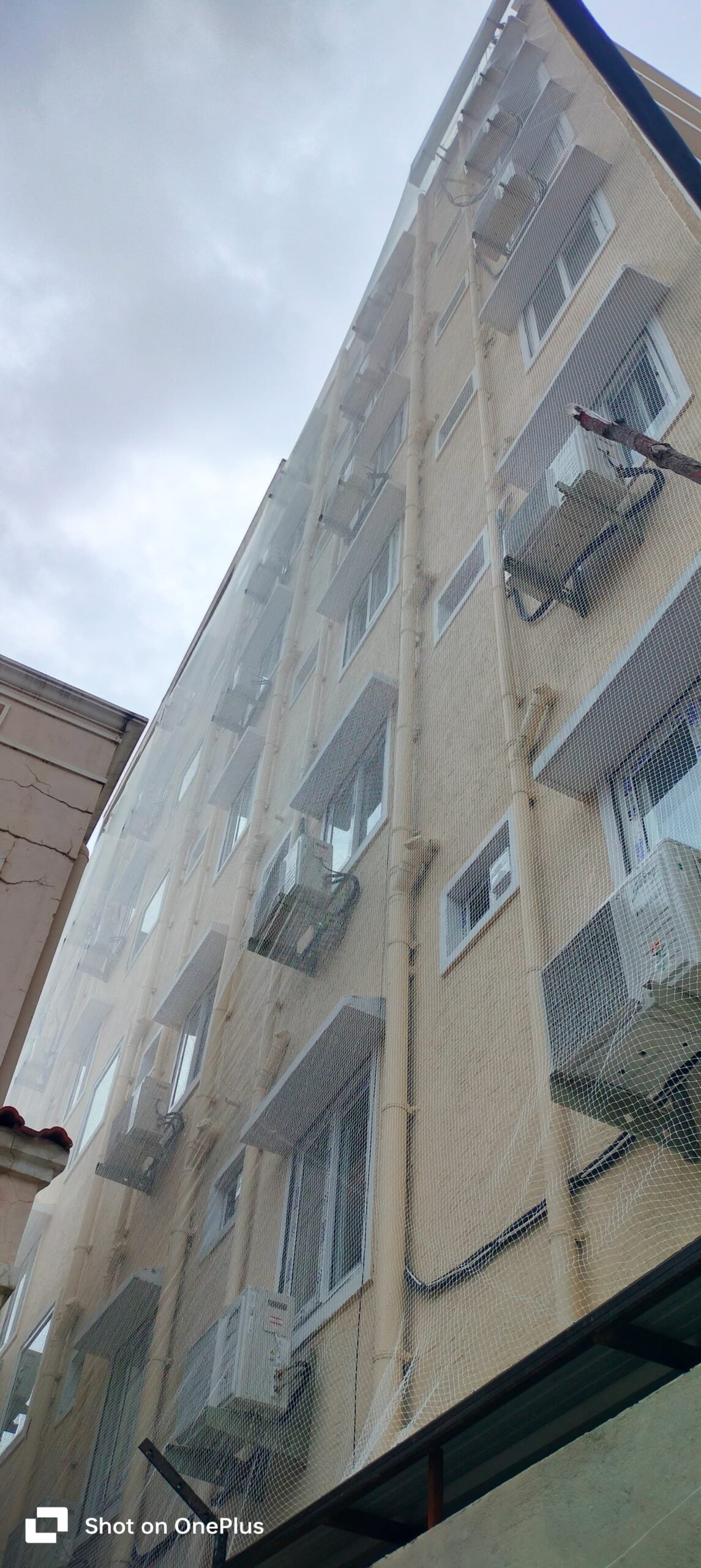 Bird netting for a Chennai apartment